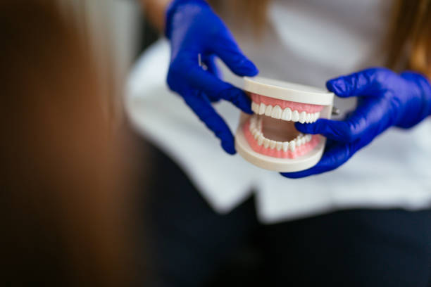 Best General Dentistry  in Ellenville, NY
